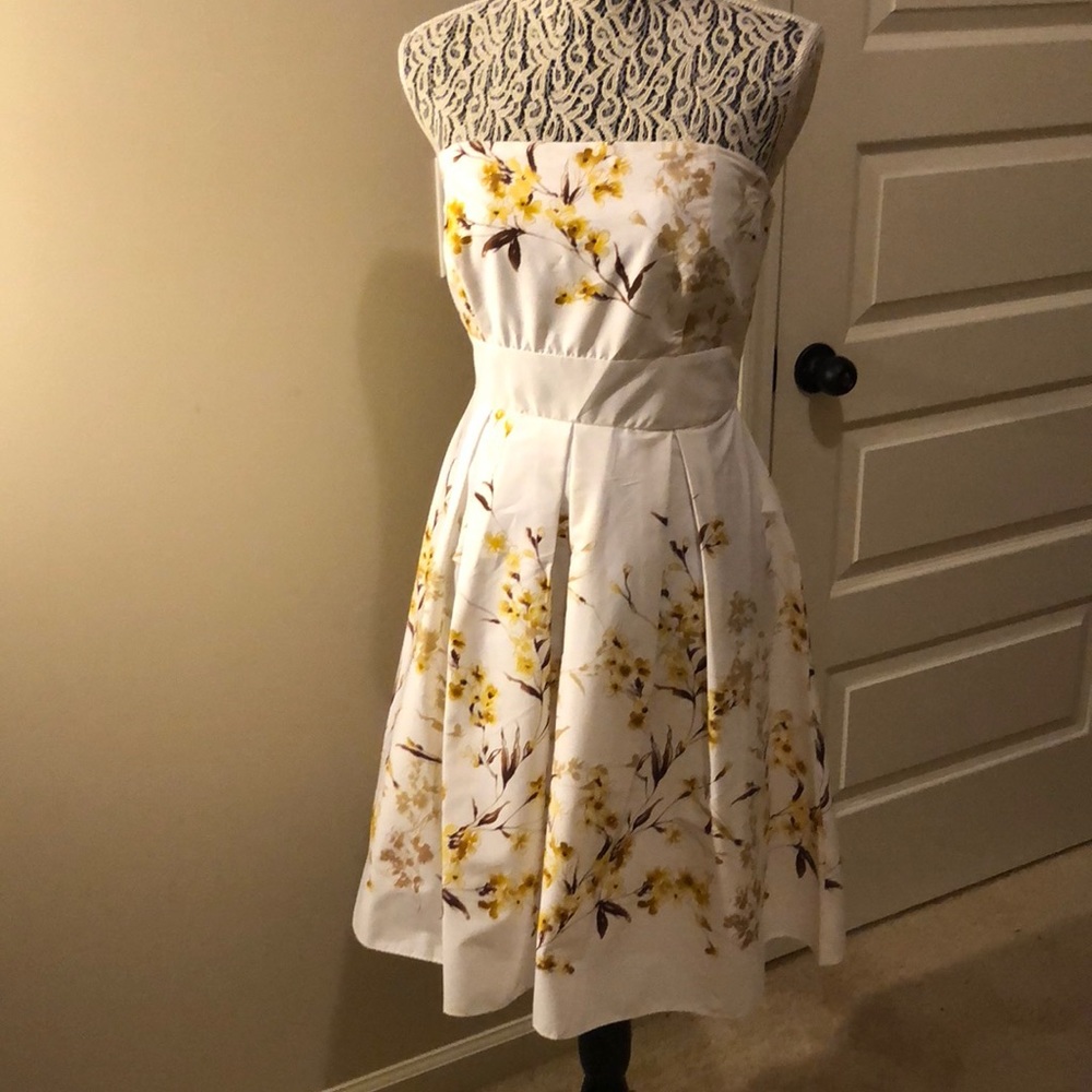 Amazing Strapless Sundress